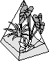 Sketch of Planter